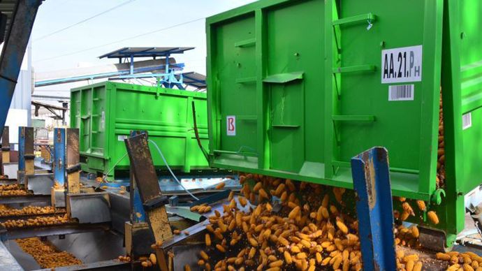 La future usine russe d’Euralis semences traitera 5 000 t de tournesol, 4 000 t de maïs et 1 000 t de soja, à l’horizon 2025 (ici, le site de Lescar). © EURALIS